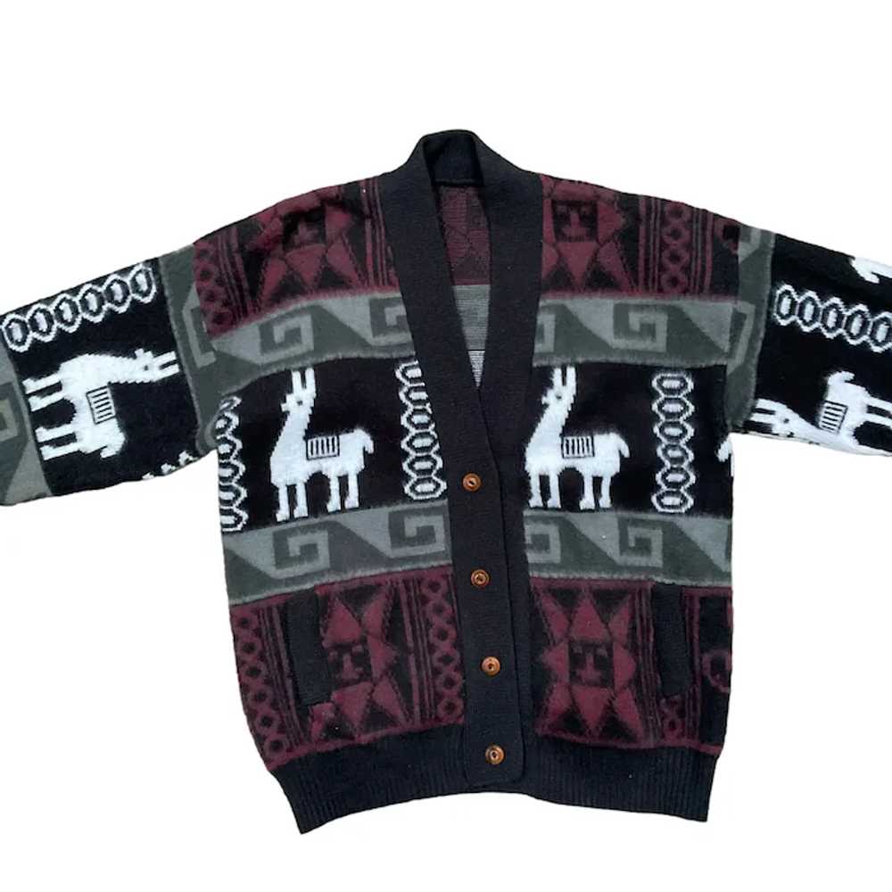Tejidos Ruminahui Wool Llama Sweater - image 4
