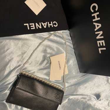 CHANEL BUTTERFLY Verified Authentic Purse WOC