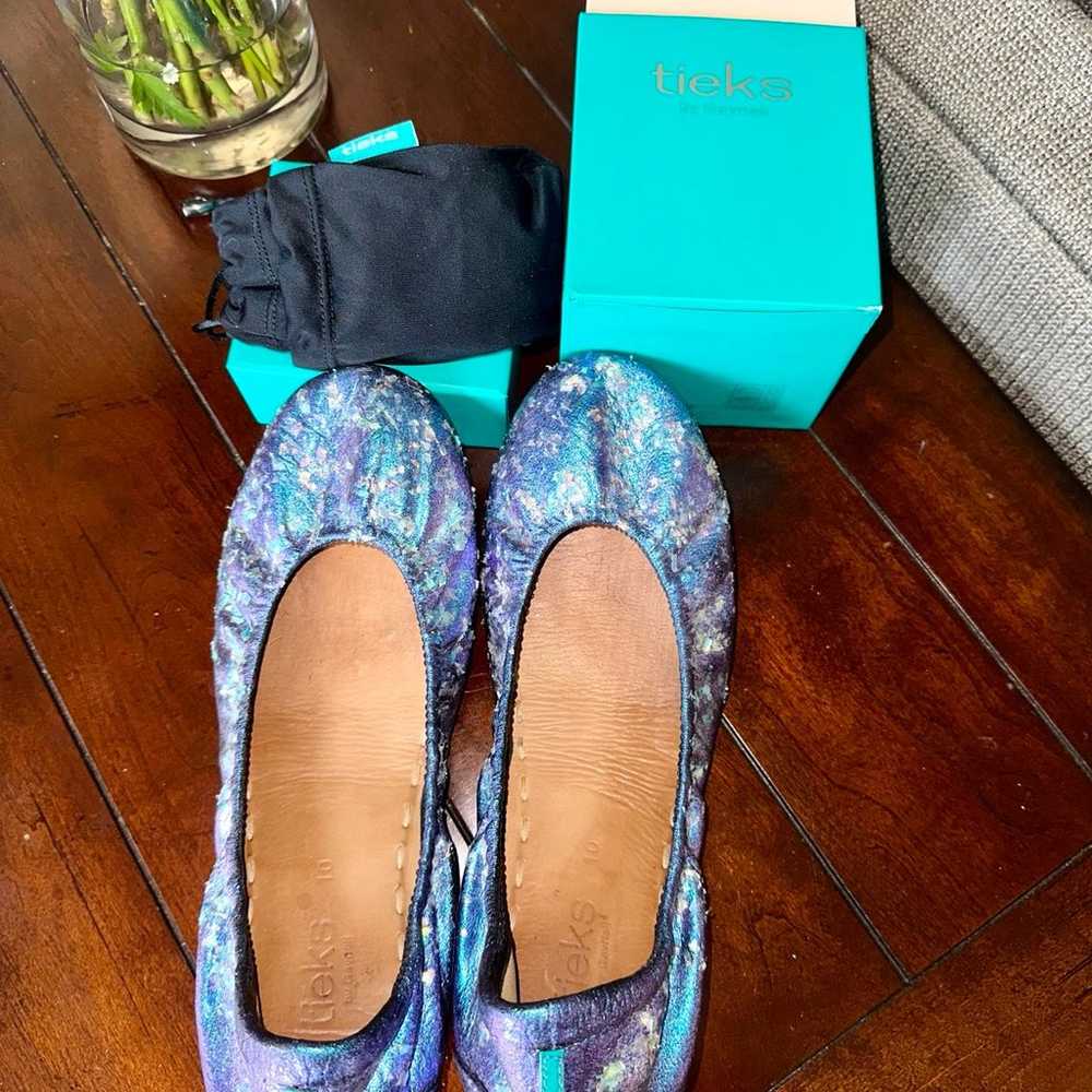 Tieks *custom* colorshifts - image 8