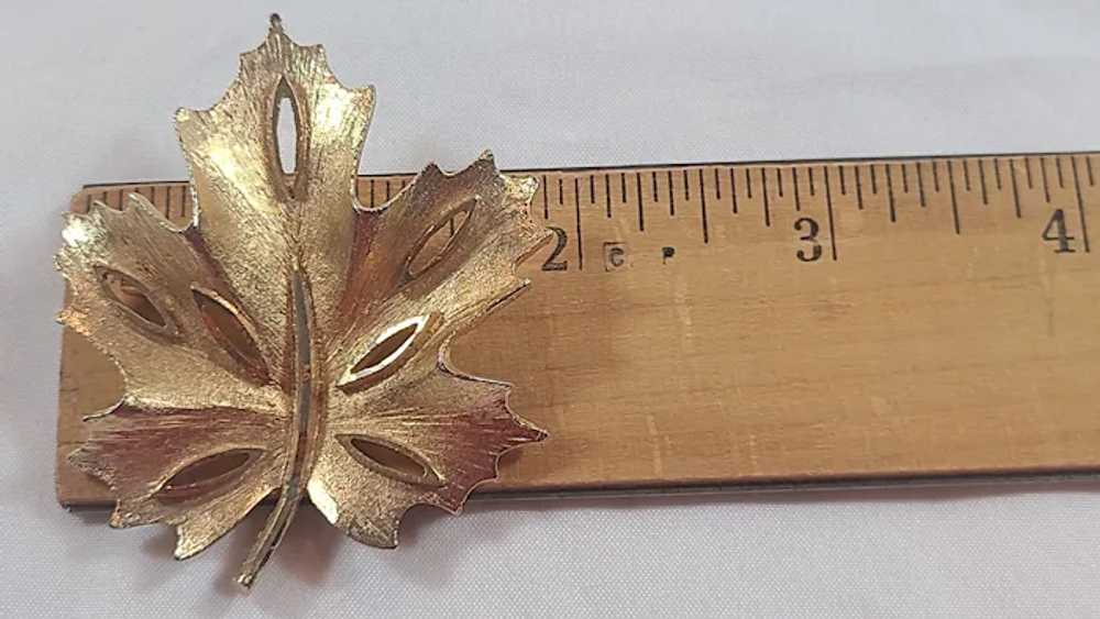 BSK Yellow Gold Tone Textured Maple Leaf Brooch P… - image 11