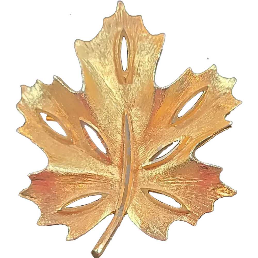 BSK Yellow Gold Tone Textured Maple Leaf Brooch P… - image 1