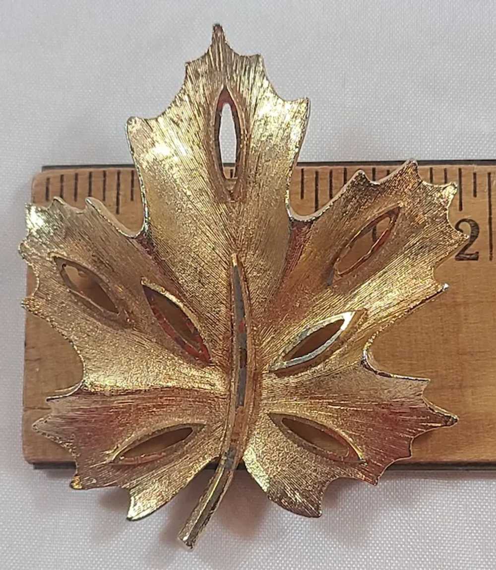 BSK Yellow Gold Tone Textured Maple Leaf Brooch P… - image 4