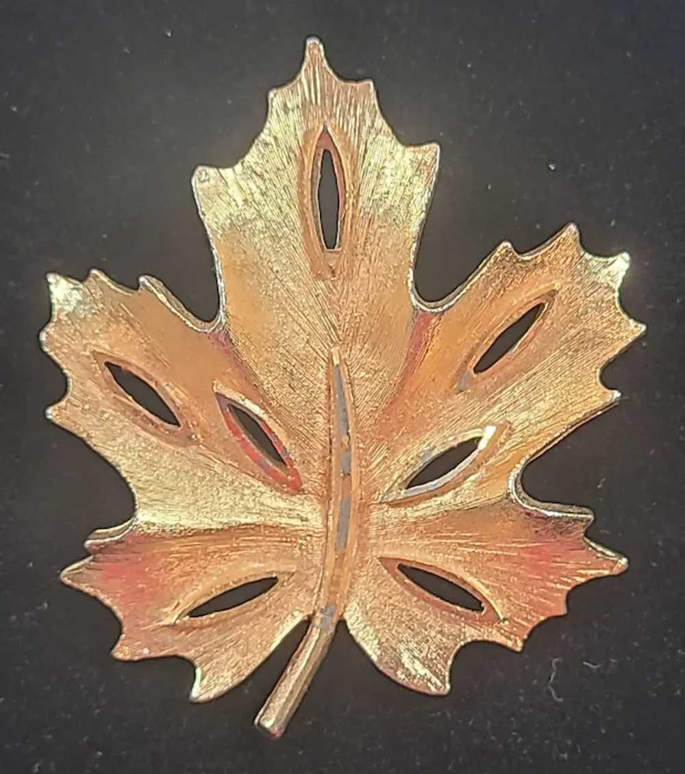 BSK Yellow Gold Tone Textured Maple Leaf Brooch P… - image 6