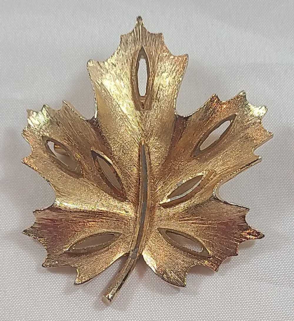 BSK Yellow Gold Tone Textured Maple Leaf Brooch P… - image 7
