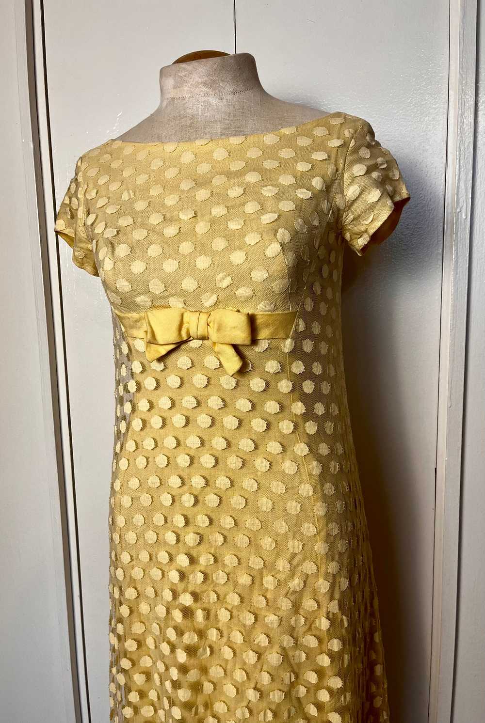 Vintage 1960's Yellow Swiss Dot Maxi Dress - image 10