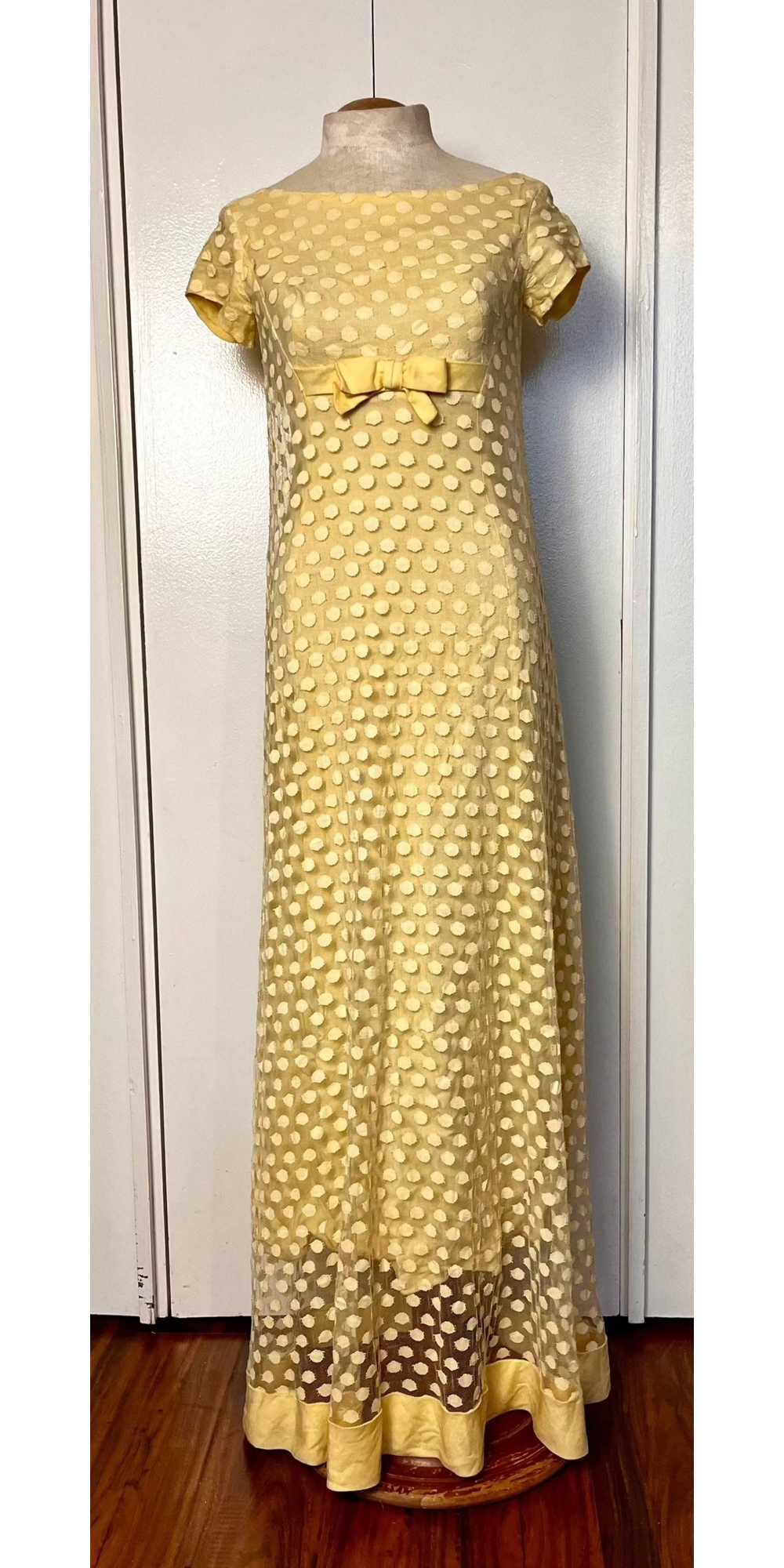 Vintage 1960's Yellow Swiss Dot Maxi Dress - image 1