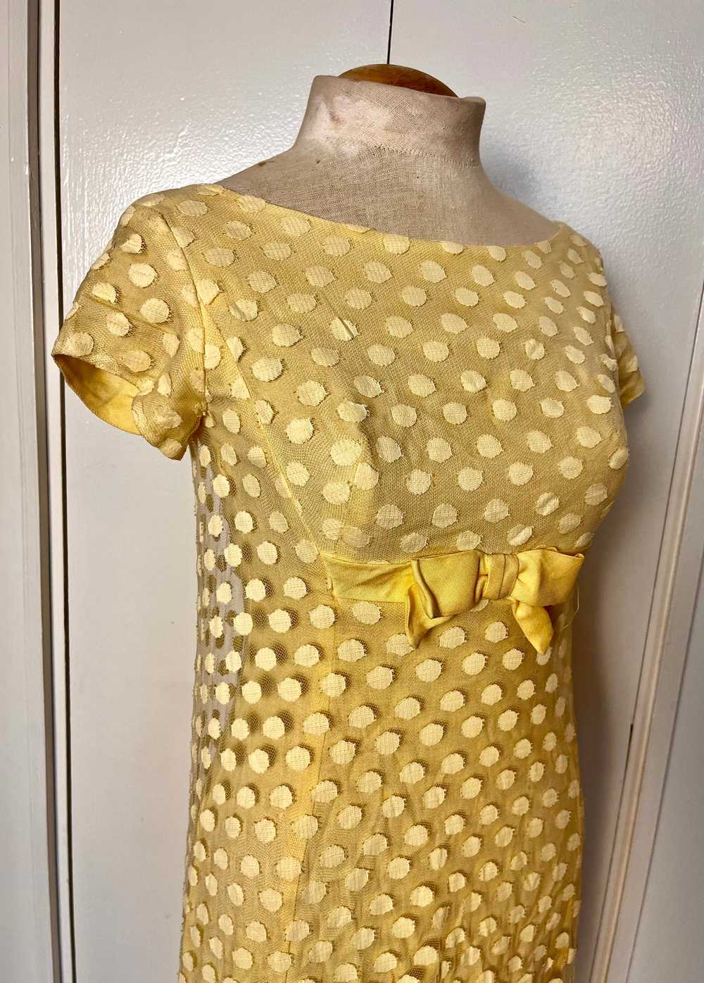 Vintage 1960's Yellow Swiss Dot Maxi Dress - image 2