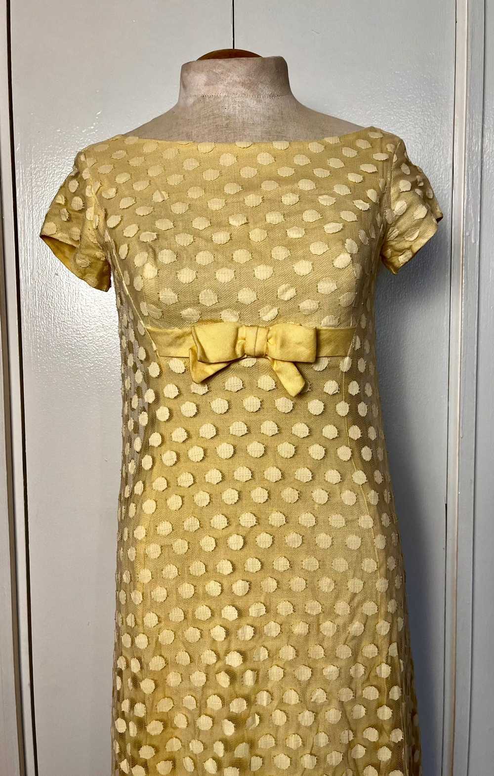 Vintage 1960's Yellow Swiss Dot Maxi Dress - image 3