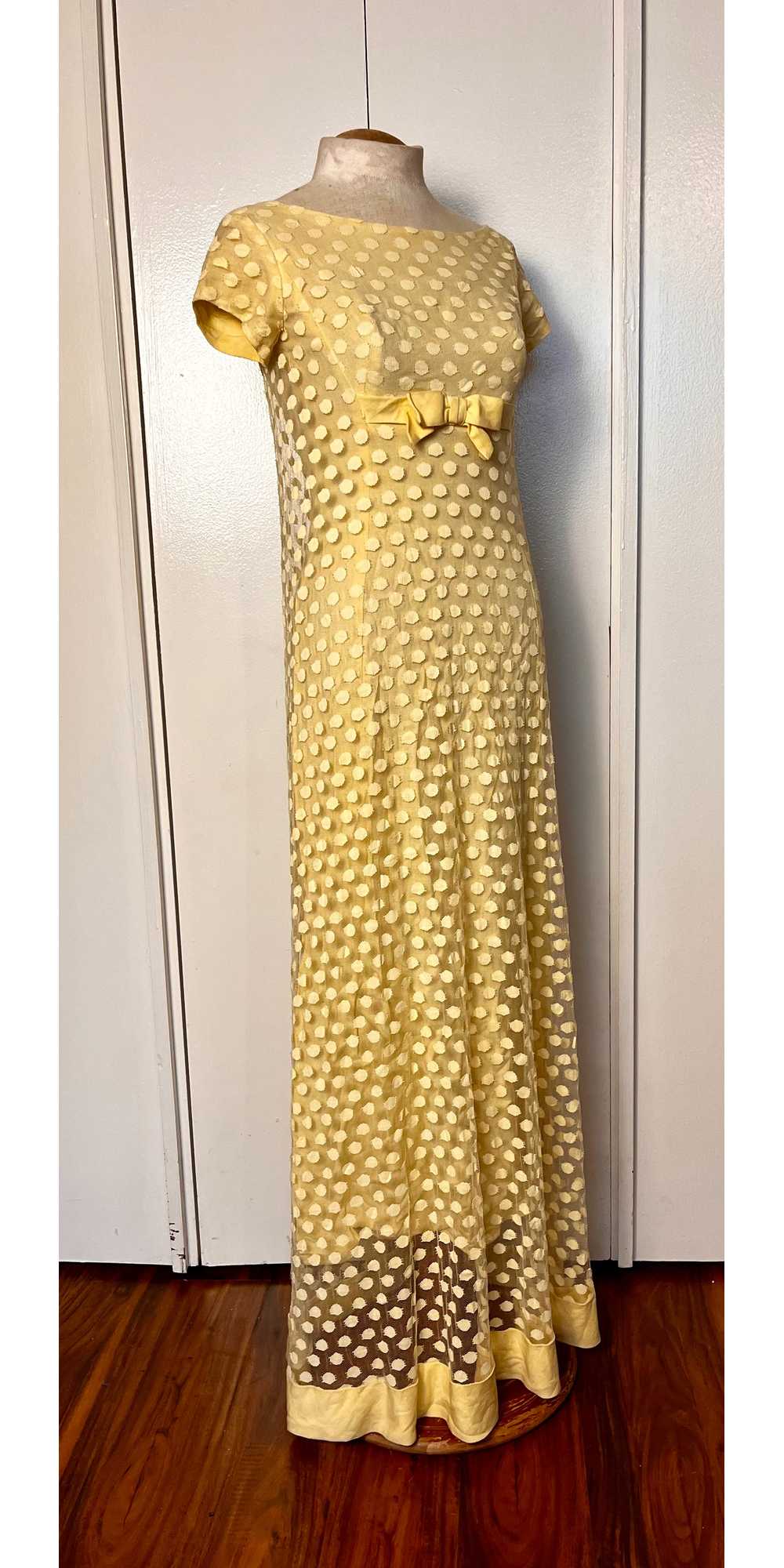 Vintage 1960's Yellow Swiss Dot Maxi Dress - image 4