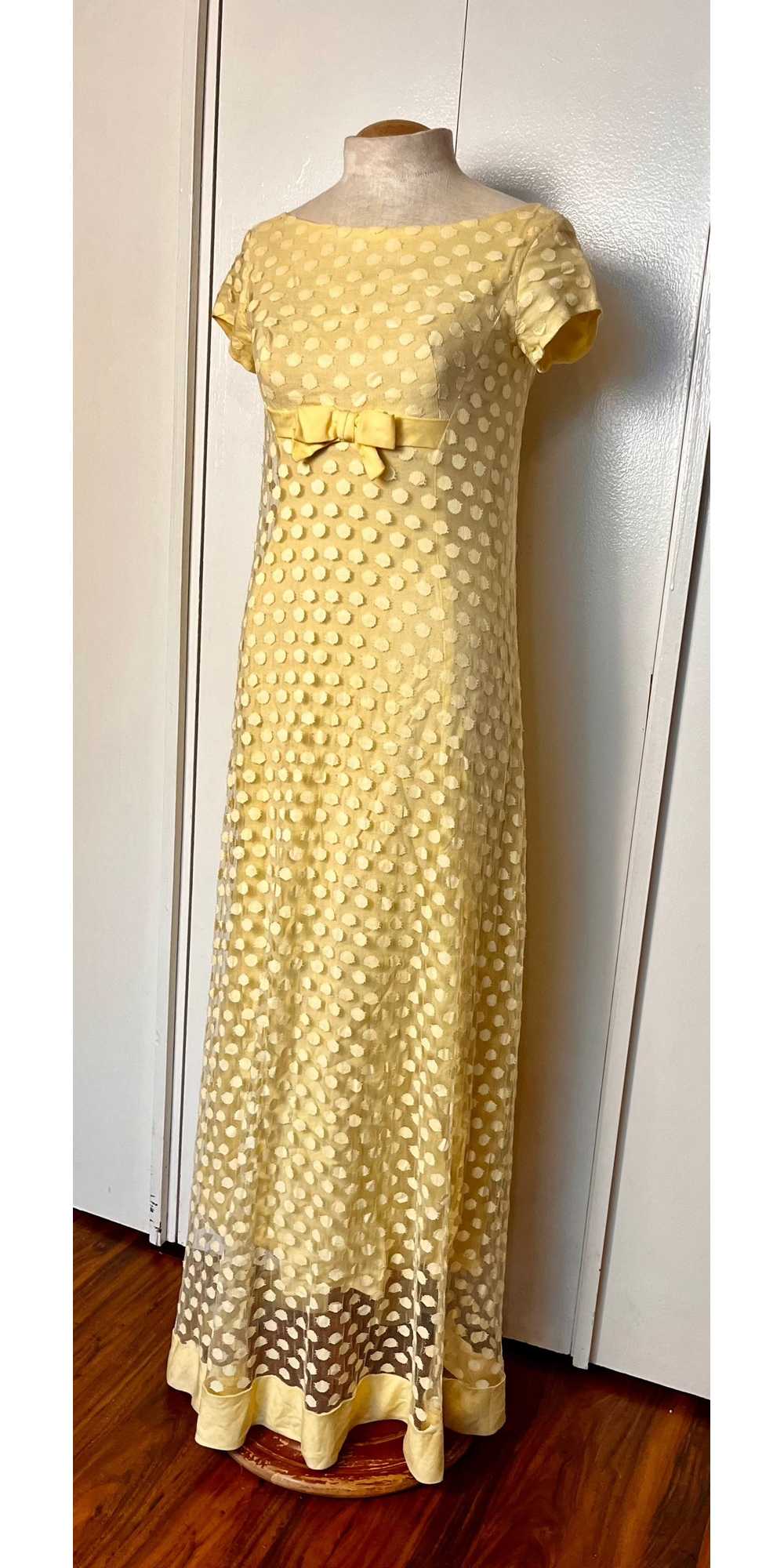 Vintage 1960's Yellow Swiss Dot Maxi Dress - image 6