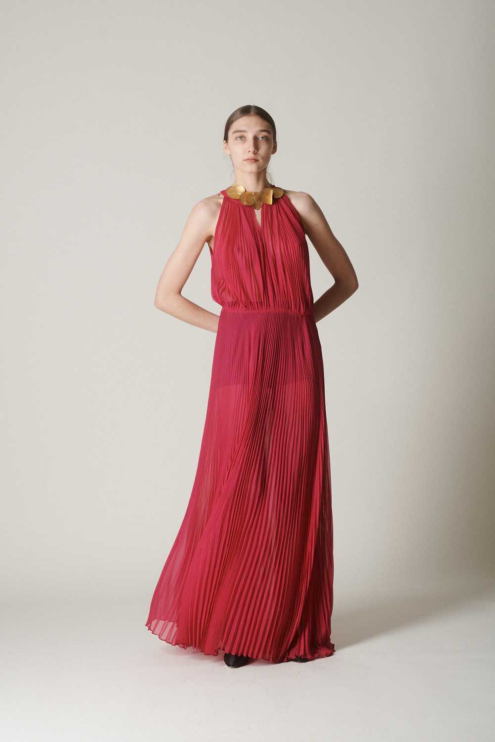 Vintage Pleated Chiffon Gown - image 1