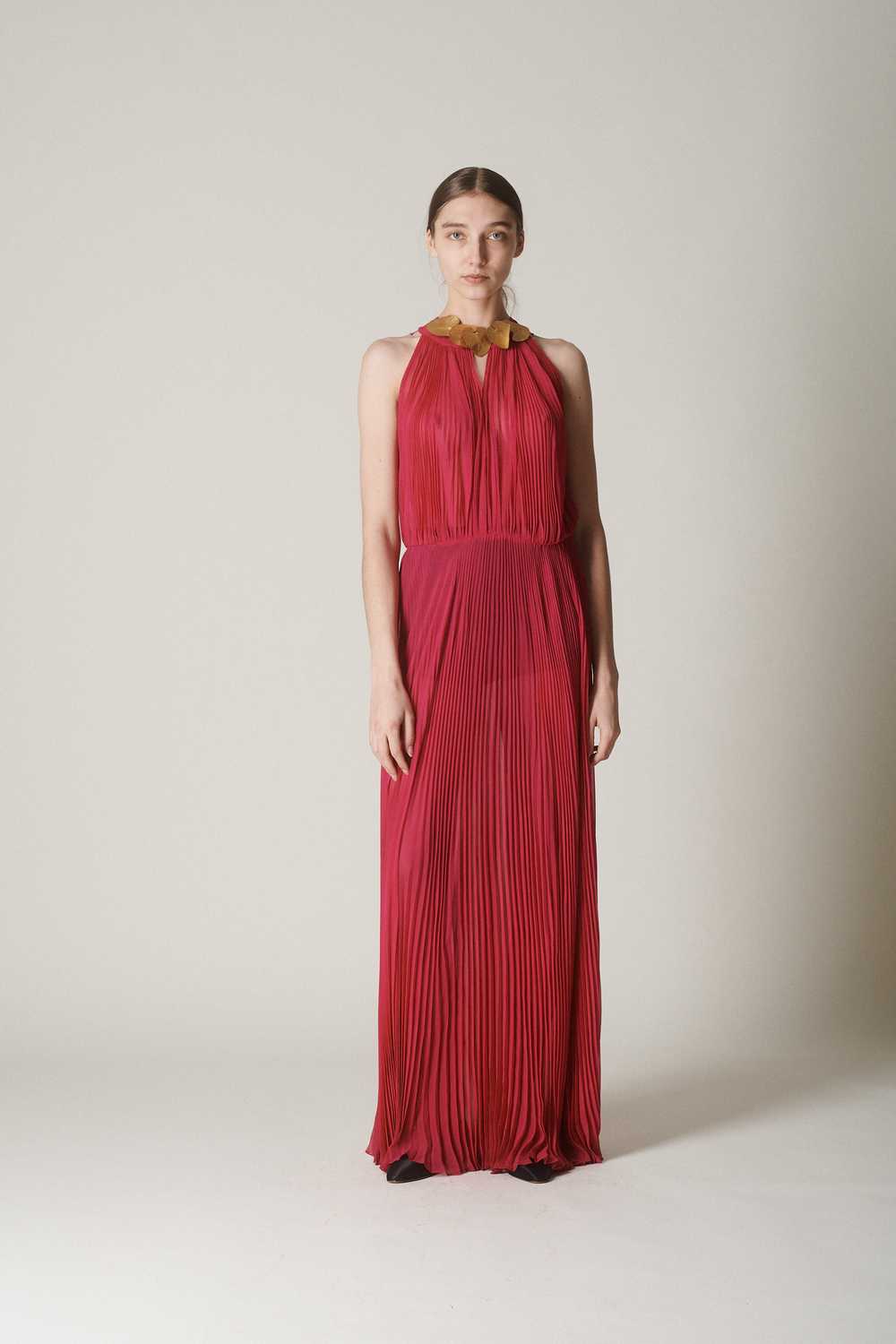Vintage Pleated Chiffon Gown - image 4