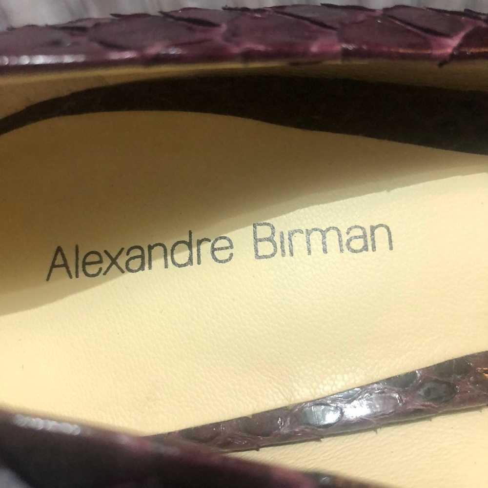 Alexandre Birman Heels - image 3