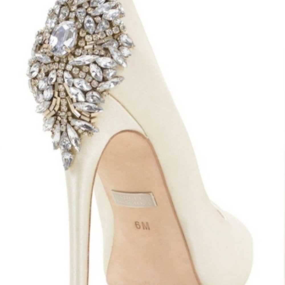 BADGLEY MISCHKA - image 2