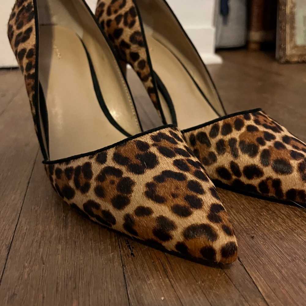 Ann taylor cheetah stilettos - image 2