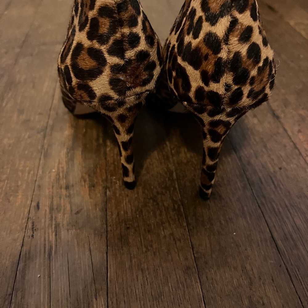 Ann taylor cheetah stilettos - image 3