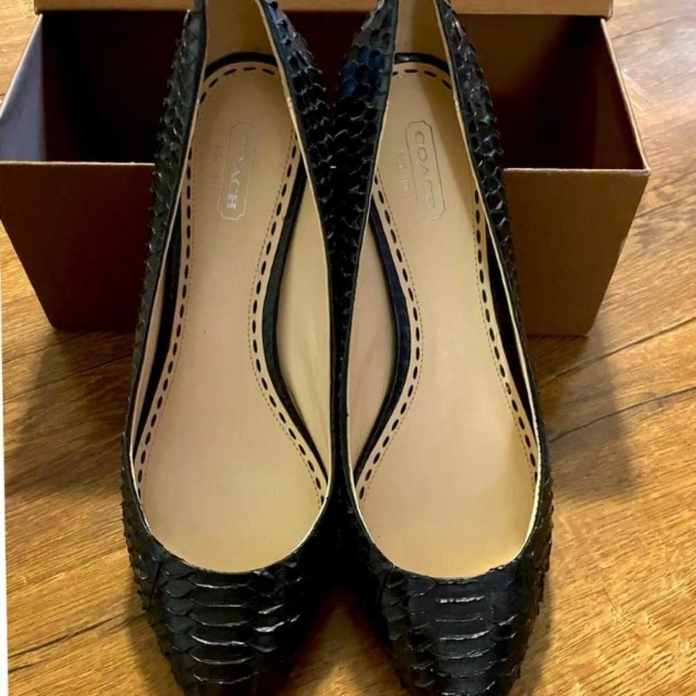 snakeskin kitten heels