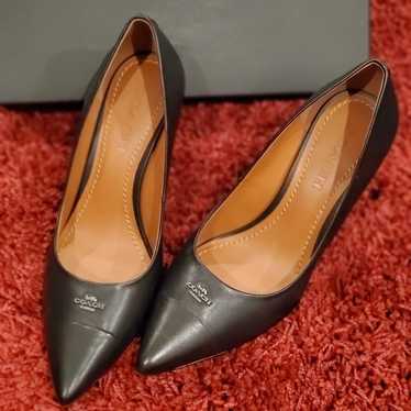 Coach Leather Pointy Pumps