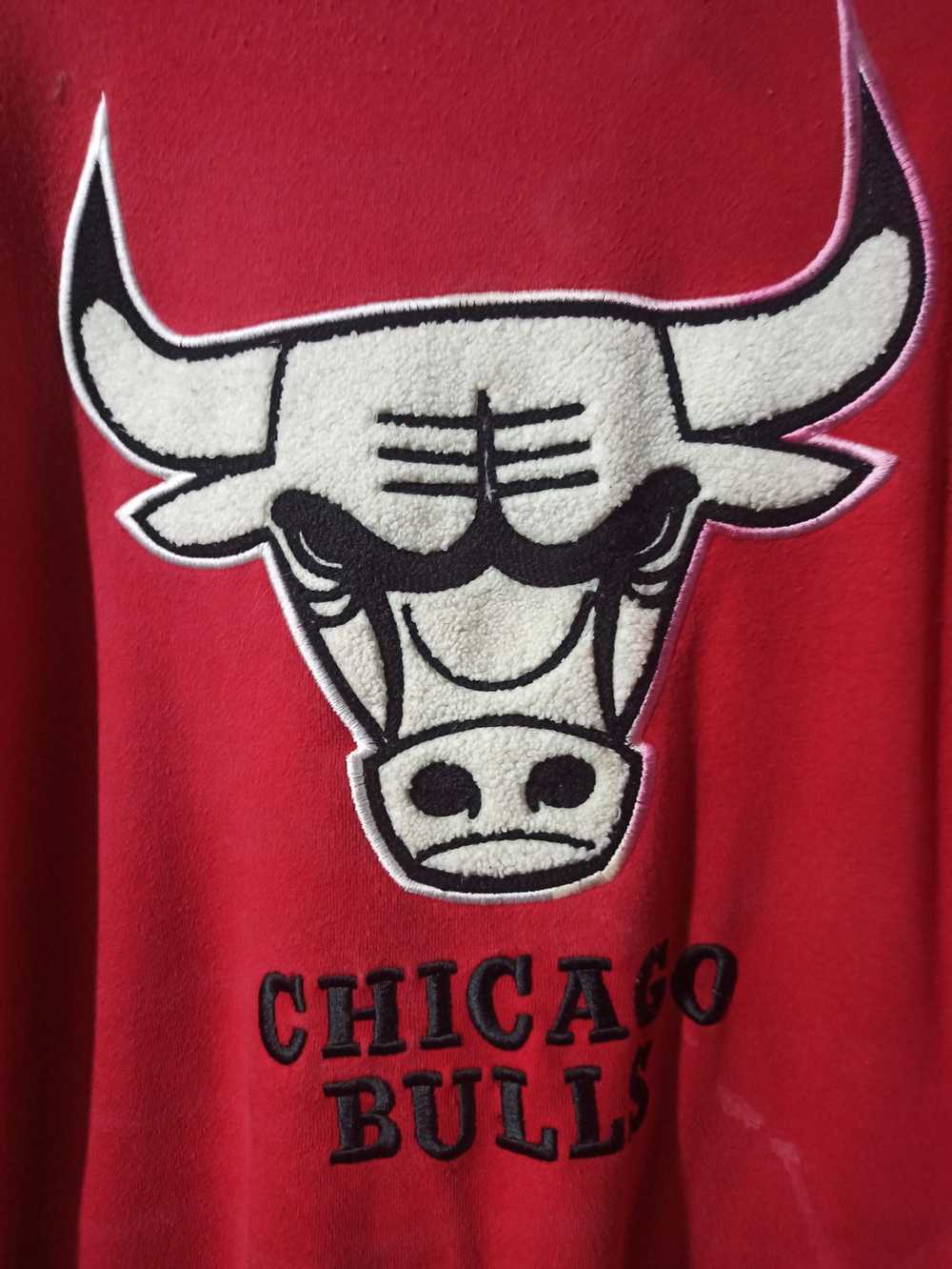 Chicago Bulls Chicago Bulls 1966 CHI - image 2