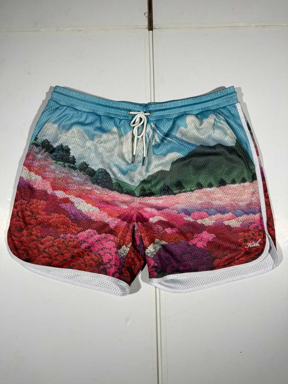 Kith Kith Mountain Graphic Print Jersey Shorts - image 1