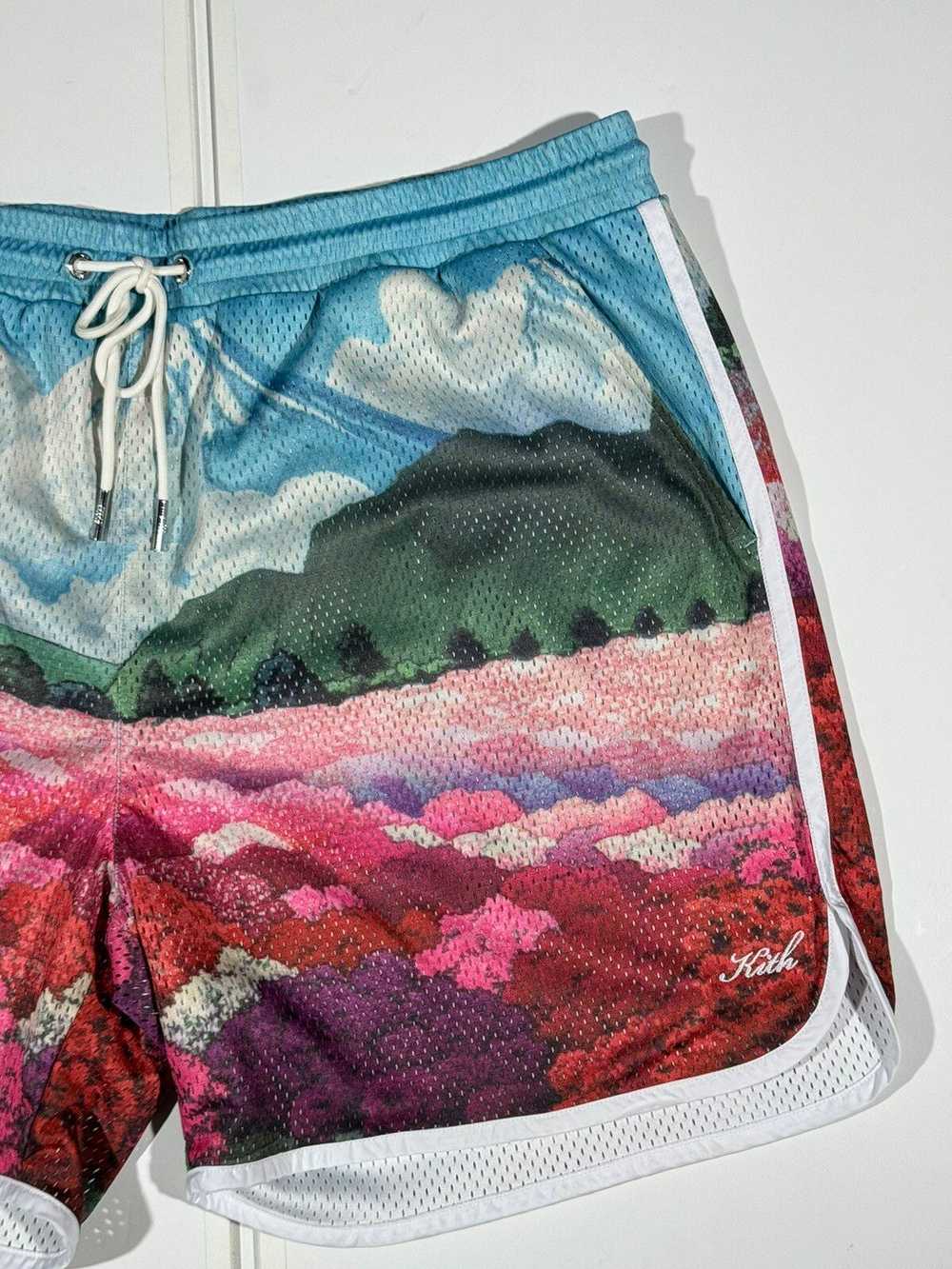 Kith Kith Mountain Graphic Print Jersey Shorts - image 2