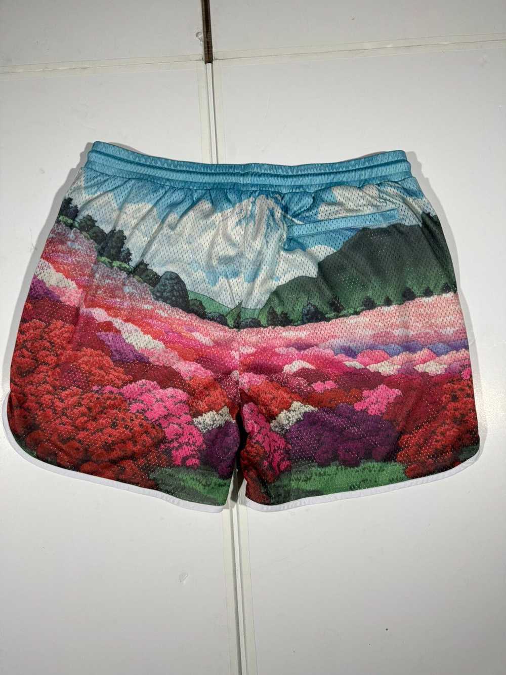 Kith Kith Mountain Graphic Print Jersey Shorts - image 5