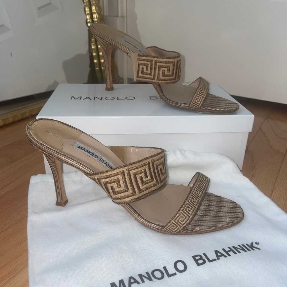 Vintage Manolo Blahnik heels - image 1
