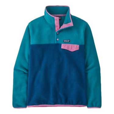 Patagonia Sweatshirt - image 1