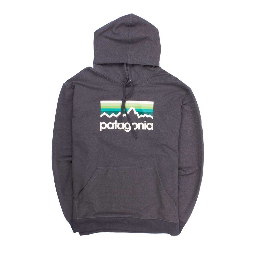 Patagonia - M's Line Logo Midweight Hoody - image 1