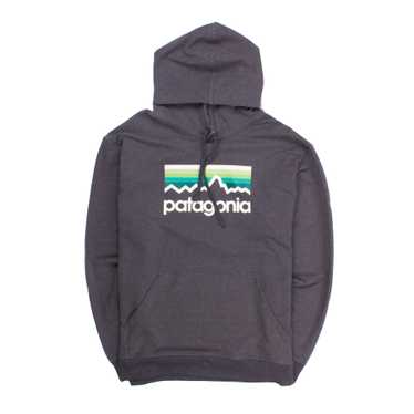 Patagonia - M's Line Logo Midweight Hoody - image 1