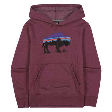 Patagonia - Kids' Lightweight Graphic Hoody Sweat… - image 1