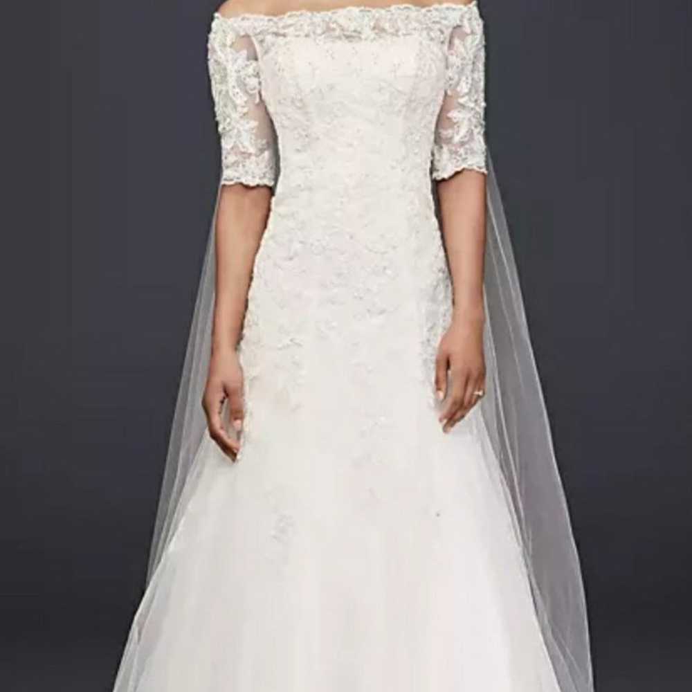 David's Bridal Jewel Wedding Dress, Veil size 14 - image 1