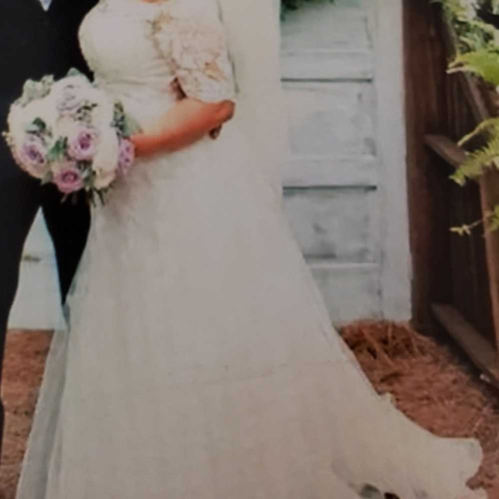 David's Bridal Jewel Wedding Dress, Veil size 14 - image 3