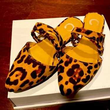 Leopard Print Slides - image 1