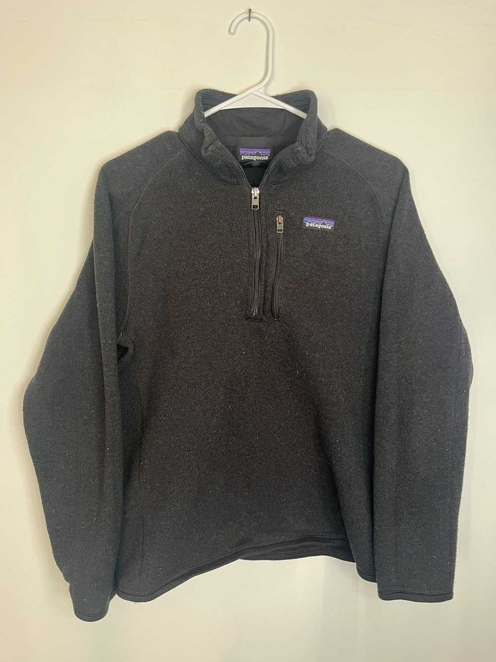 Patagonia Patagonia Sweater - image 1