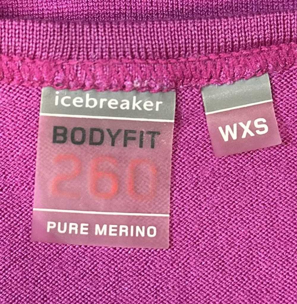 Ice Breaker Icebreaker 260 Body Fit Merino Sweate… - image 7