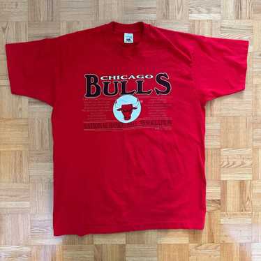 Fruit Of The Loom Vintage 90s Chicago Bulls 1993 … - image 1