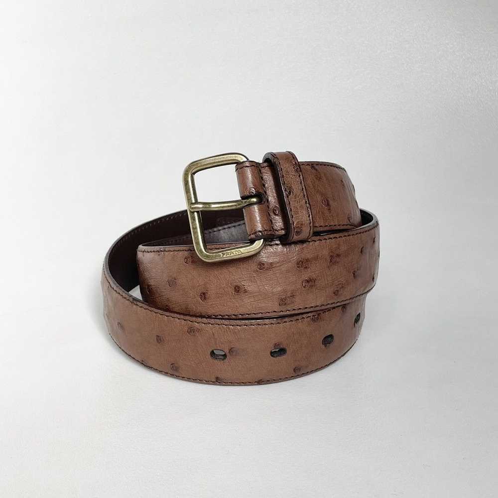 Prada 3cm Brown Ostrich Leather Belt - image 1