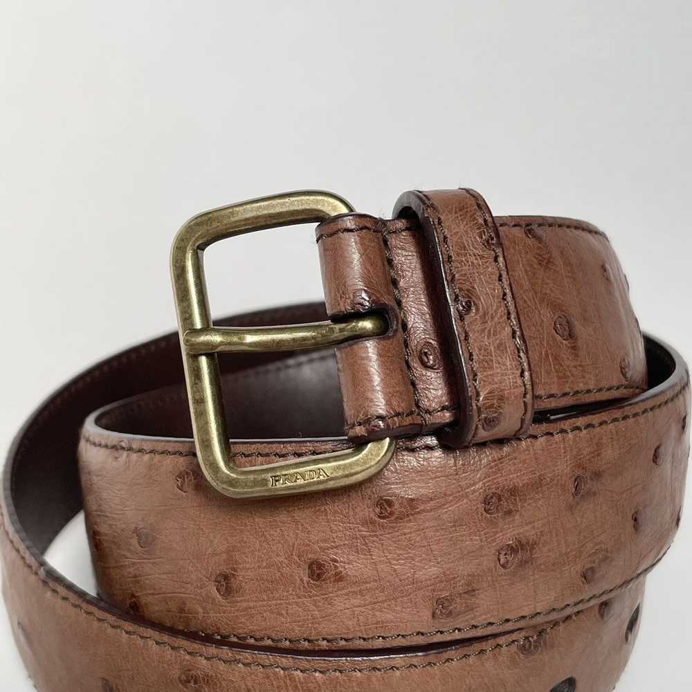 Prada 3cm Brown Ostrich Leather Belt - image 2