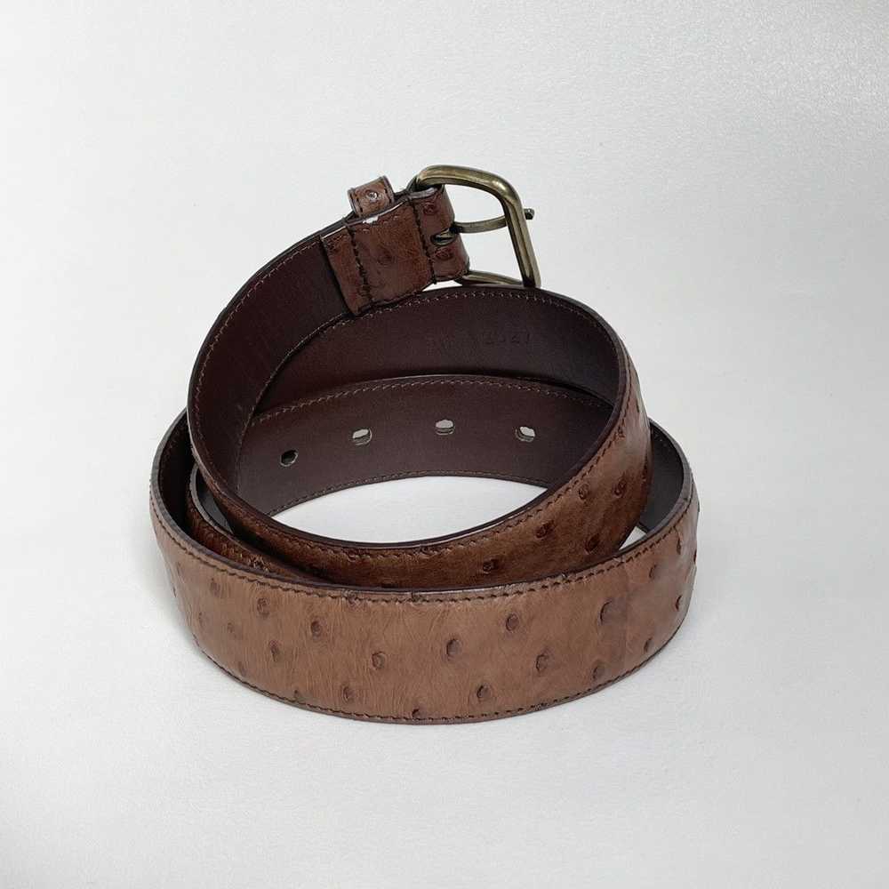 Prada 3cm Brown Ostrich Leather Belt - image 4