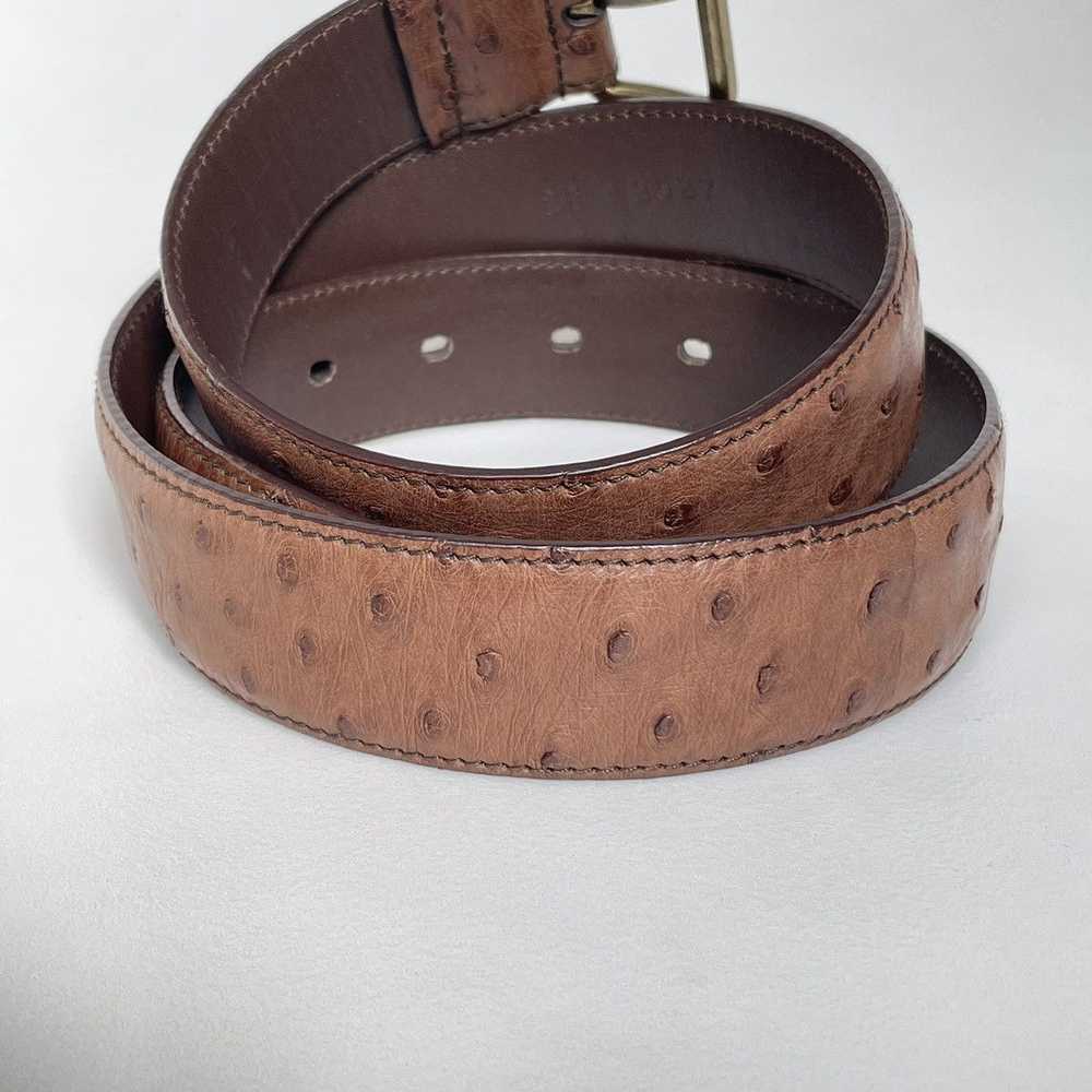 Prada 3cm Brown Ostrich Leather Belt - image 5