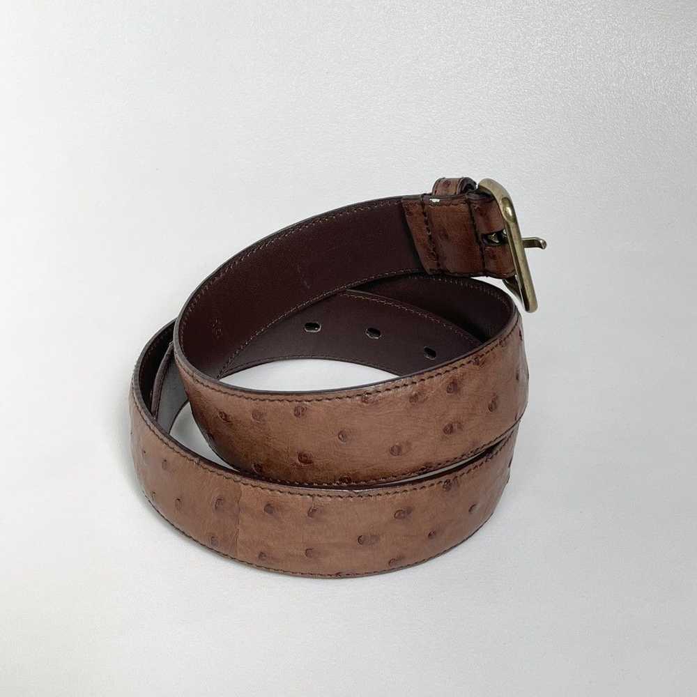 Prada 3cm Brown Ostrich Leather Belt - image 6