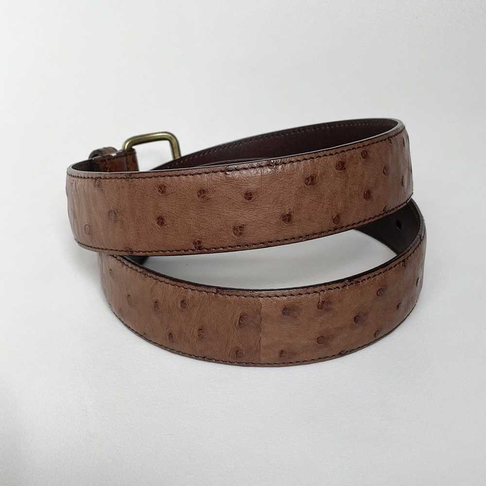 Prada 3cm Brown Ostrich Leather Belt - image 7