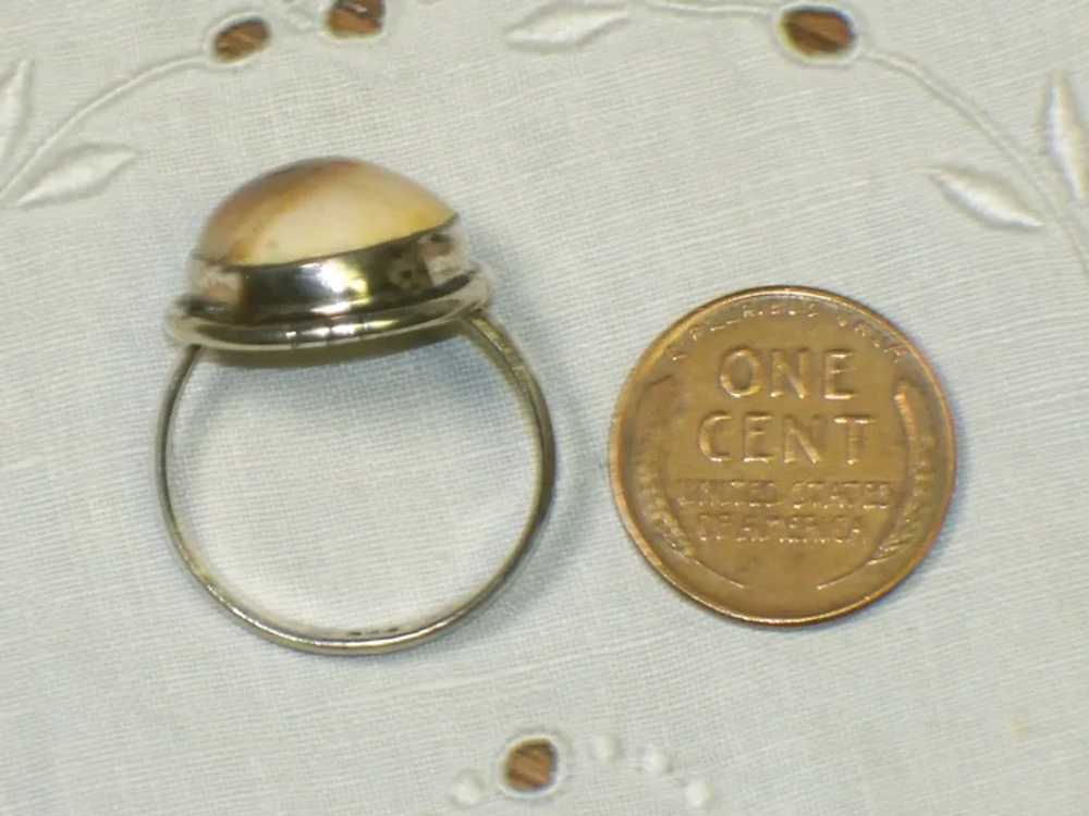 Vintage Operculum Shell Ring Size 8-1/2 - image 10