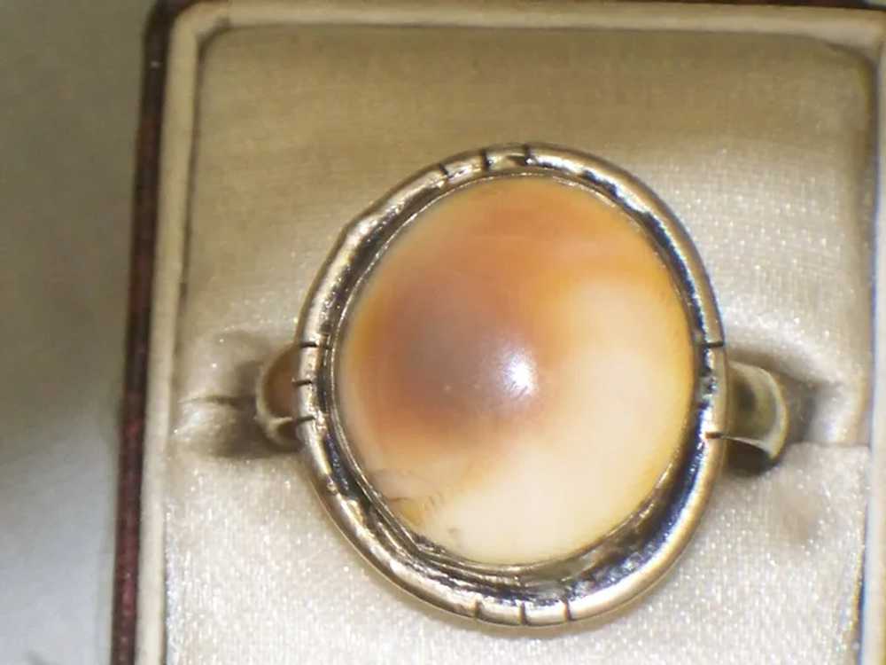 Vintage Operculum Shell Ring Size 8-1/2 - image 12