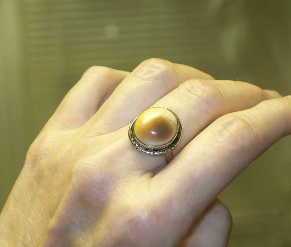 Vintage Operculum Shell Ring Size 8-1/2 - image 4