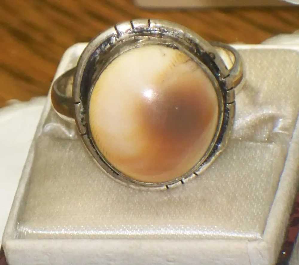 Vintage Operculum Shell Ring Size 8-1/2 - image 5