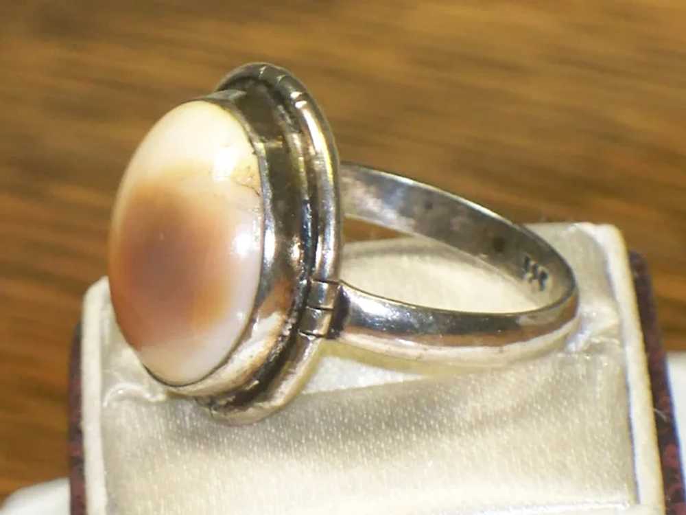 Vintage Operculum Shell Ring Size 8-1/2 - image 6