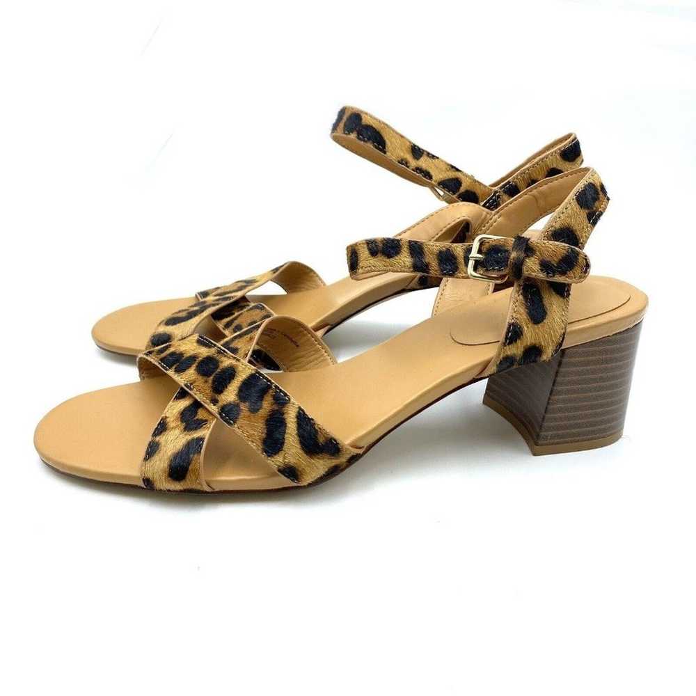 J Crew Leopard Calf Hair Low Block-Heel Sandals S… - image 4