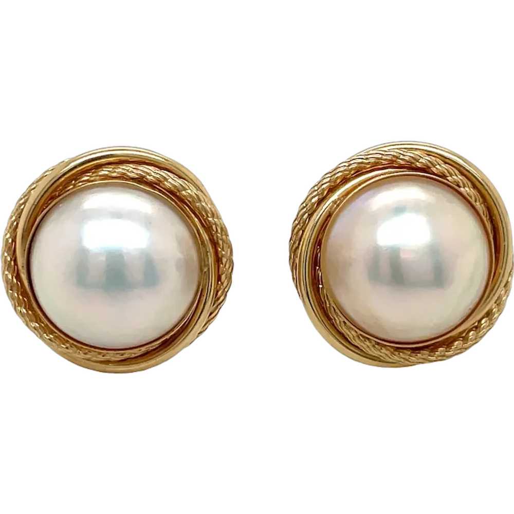 14K Yellow Gold Mother of Pearl Earring - image 1